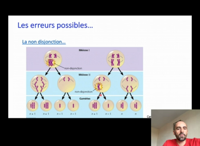 Unicapod Diff Rences Entre Mitose Et M Iose Reproduct