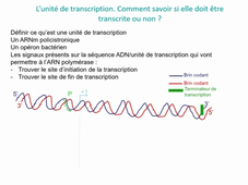 080920-cours1 P11 enreg_rgp.mp4