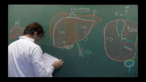 ANATOMIES09E11.mp4