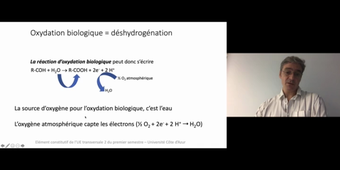 J14. Aspects physiologiques du métabolisme énergétique. 2- Respiration_default (1).mp4