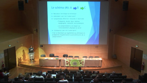 Colloque Phelan McDermid, Nice, 2019, Anne Guennoun