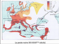 Histoire de la Peste