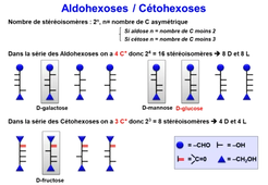 J9. Biochimie structurale _  cours 2 Glucides_default_98c641b2 (2).mp4