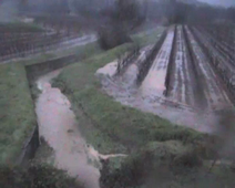 Erosion vignoble Var (1) projet UOH Degsol