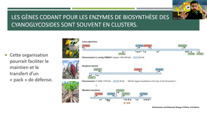 Métabolisme secondaire 2ème partie - 1/5.mp4