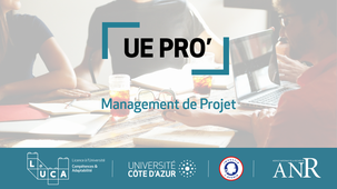 UE à visée pro, Management de projet.mp4