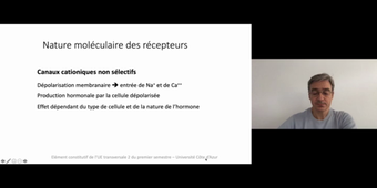 J16. Homéostasie _ cours 2 Régulation isotonique du volume extracellulaire_default_592cbed0.mp4