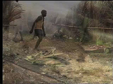 PJ-Mansip7-Manioc_rape