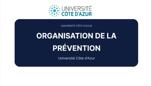 Organisation de la Prévention.mp4