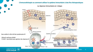 2- Introduction aux immunothérapies _ partie I_default_c9e0a5a6.mp4