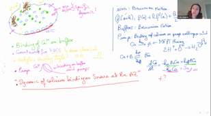 Class 2 - Modeling at the molecular and cellular level