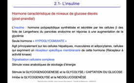 J16. Homéostasie - Cours 4- Régulation de la glycémie_default (1).mp4