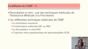 Europe Declin_PPT_Partie IIIb_La France dans l'Europe_Maternités tardives