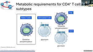 Role of Adipose Tissues in the Pathophysiology of Insulin Resistance and Type 2 Diabetes