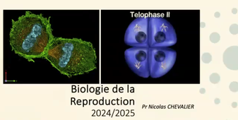 14.10 Cours LAS 2024-2025 20241014.mp4