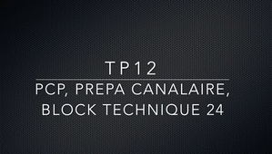 TP12 PCP Prepa canalaire provisoire à tenon 24