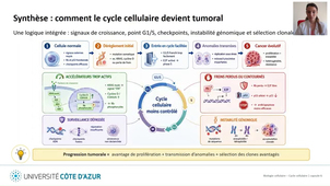 Biologie cellulaire LAS - Cycle cellulaire - Capsule 6