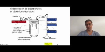 J15. Equilibre acido-basique _ cours 3 Rôle des reins dans l'équilibre acido-basique_default_c8b53f46 (1).mp4