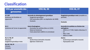 Chronologie et mécanismes impliqués dans la différenciation sexuelle (Partie 2)