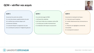 Biologie cellulaire LAS - Cycle cellulaire - Capsule 4