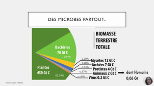 Le monde microbien et les antibiotiques