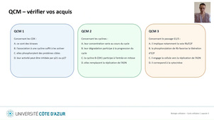 Biologie cellulaire LAS - Cycle cellulaire - Capsule 3