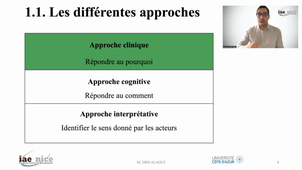 PARTIE 1.1. les différentes approches des études qualitatives