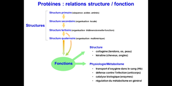 J1. Introduction à la biochimie_default (2).mp4