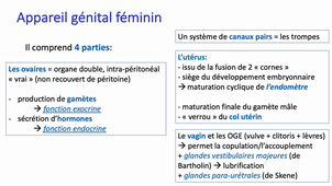 Tractus génital femelle - LAS1