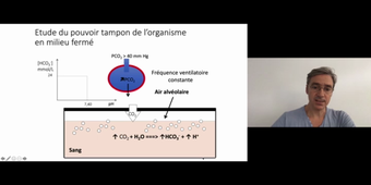 J15. Equilibre acido-basique _ cours 6 Etude du pouvoir tampon in vivo_default_6c6bf0b9 (1).mp4