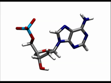 acide_nucleique