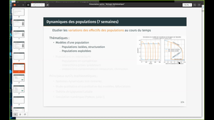 presentation1 option S8