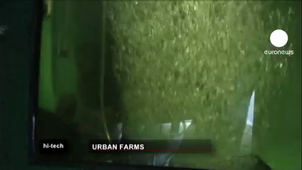 Euronews hi-tech: Urban Farms in Berlin