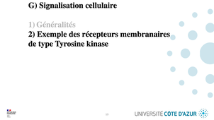 GILSON - Biologie cellulaire - Partie G - Signalisation cellulaire - 2/5