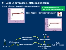 L2 STAPS. Physiologie des adaptations. Cours 8.