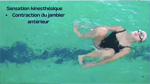 Théorie polyvalence natation -Emilie Cary TPC L3EM.mp4
