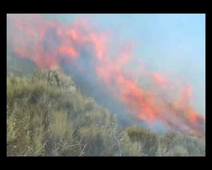 Feu de forêt projet UOH DegSol