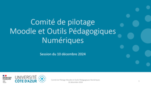 CoPil Moodle et Outils Pédagogiques Numériques 10/12/2024