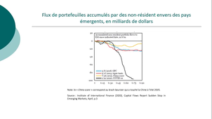 CA L3 - EMI - 50 Chapitre 3 Section 3_3_3 Volatilité des mouvements de capitaux.mp4