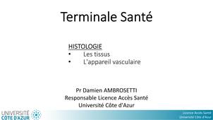 Terminale Santé - COURS 1 - Partie 2 - Histologie.mp4