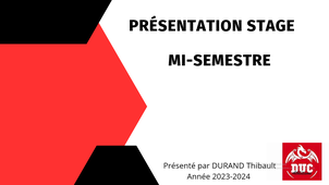 DURAND_Thibault_Présentation_mi_semestre.mp4