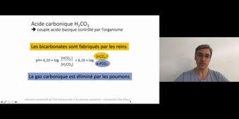 J15. Equilibre acido-basique _ cours 2 Vue d'ensemble de l'équilibre acido-basique_default_1111a3d5 (1).mp4