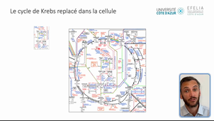 CTIA-L3SV Ch1 Vidéo 2 - La biologie, science des données