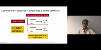 J14. Aspects physiologiques du métabolisme énergétique. 1- Métabolisme de base_default (1).mp4