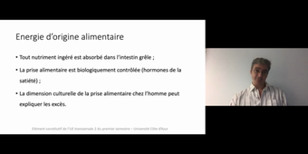 J14. Aspects physiologiques du métabolisme énergétique. 4- bilan énergétique_default (1).mp4