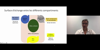 J4. Flux trans-épithéliaux _ cours 3 Vue d'ensemble des échanges épithéliaux_default_4f209b93.mp4