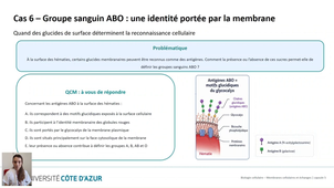 Biologie cellulaire LAS - Membranes cellulaires et échanges - Capsule 5