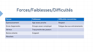 PENNA_Fabio_Présentation_mi_semestre