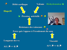 Cours SCV 11 sonorisée.mp4