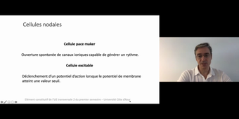 J6. Potentiel d'action cardiaque _ cours 1 Automatisme cardiaque et cellules nodales_default_ad7a5651 (1).mp4